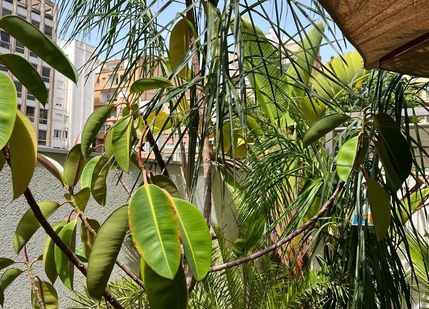 דירות ברצלונה Modernismo Paseo De Gracia